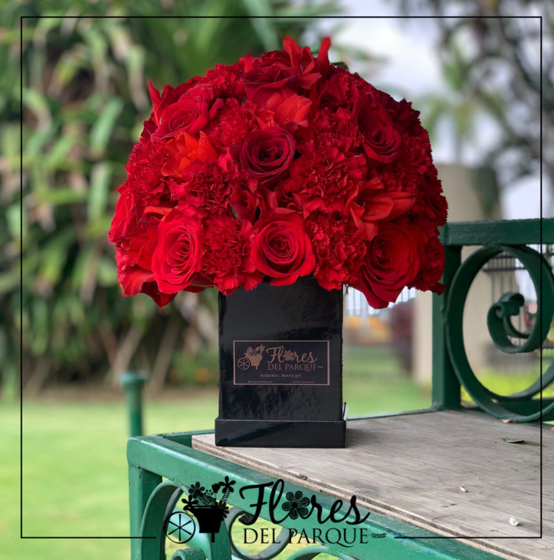 Arreglo claveles rojos y rosas rojas