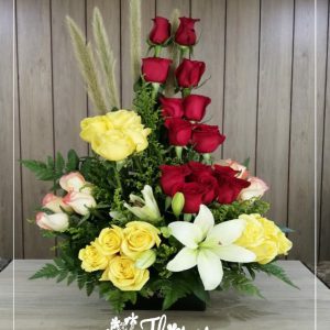 24 Rosas colores variados