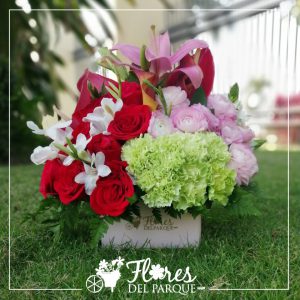 12 Rosas rojas, claveles variados, ornitogalo