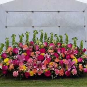 Jardinera rosa
