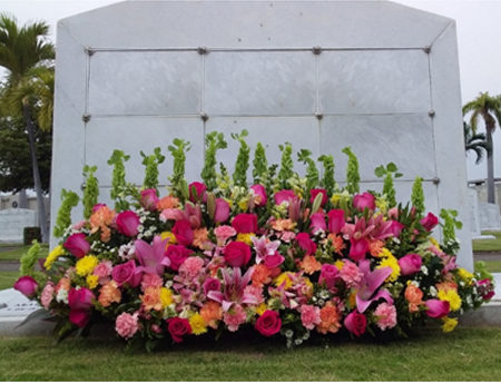 Jardinera rosa